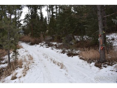 0 Deer Path unit 870723, Bellvue, CO 80512 - photo 5