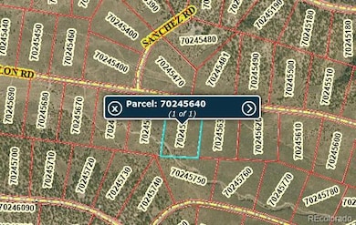 Lot 1978 Yablin Rd, Fort Garland, CO 81133 - photo 7