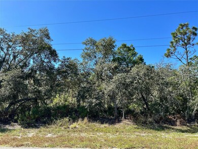 0 Woodstork Way unit MFRL4957346, Frostproof, FL 33843 - photo 6