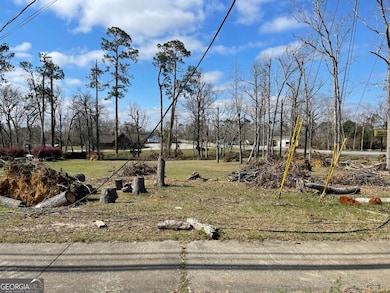 0 E Spring St, Mount Vernon, GA 30445 - photo 5