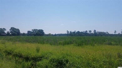 18.03 Acres Fowler Rd, Conway, SC 29526 - photo 3