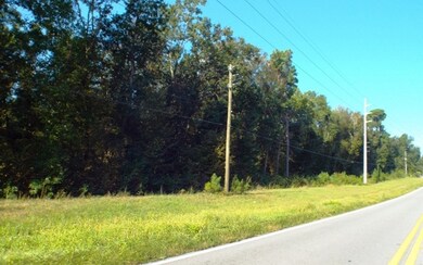 TBD Lake Jeffery, Lake City, FL 32055 - photo 2
