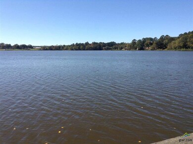 13533 White Tail Dr, Tyler, TX 75707 - photo 4