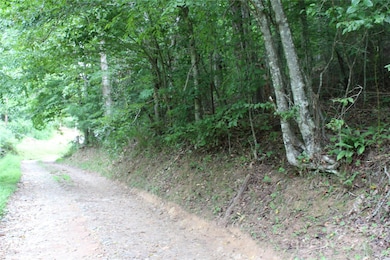 Lot 2 Lunsford Ln, Marshall, NC 28753 - photo 3