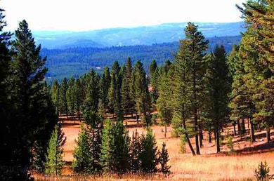 5249 Big Sky Spur Rd, Big Sky, MT 59716 - photo 7