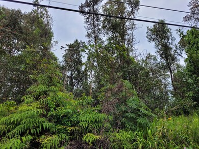 0 37th Ave unit 716560, Kurtistown, HI 96760 - photo 3