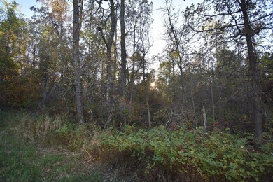 TBD Ranchette Dr, Breezy Point, MN 56472 - photo 5