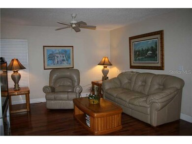 421 Cypress View Dr, Oldsmar, FL 34677 - photo 6