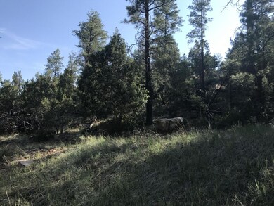 1041 N 24th Dr unit 10, Show Low, AZ 85901 - photo 4