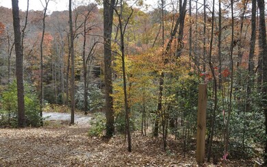 Additional View