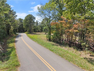 0 Black Knob Church Rd - Tract 3, Talking Rock, GA 30175 - photo 3