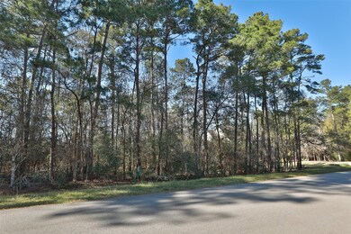 Street View of 1/2 acre lot.  Stake in middle of lot shows boundary (left side)