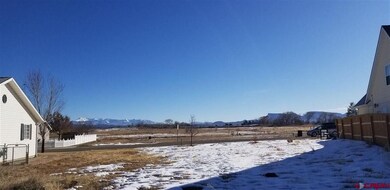 1405 Cochita Dr, Cortez, CO 81321 - photo 4