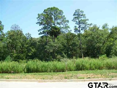 3981 Charleston Park, Tyler, TX 75701 - photo 2