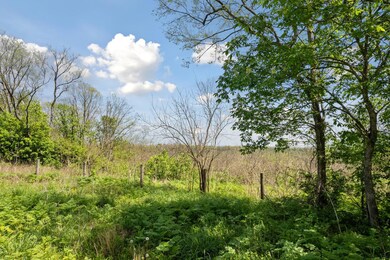 27-web-or-mls-DJI_0263