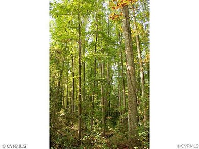 00 Edgar Rd, Ruther Glen, VA 22546 - photo 7