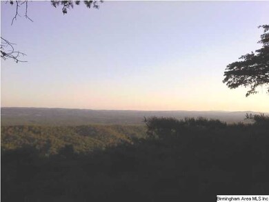 Bluff view