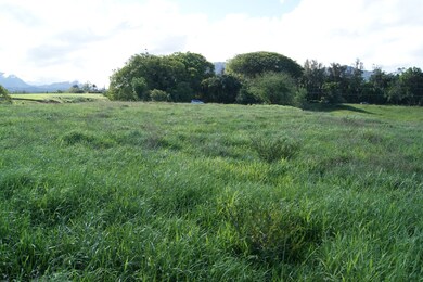 0 Olohena Rd unit 710994, Kapa?a, HI 96746 - photo 7