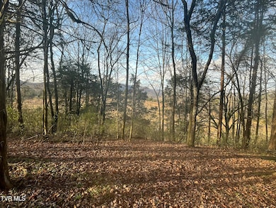 Tbd Hill Station Alley Rd, Gate City, VA 24251 - photo 6