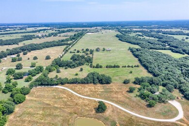 2094 Riley Rd unit Tract 3, Whitesboro, TX 76273 - photo 5