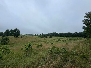 0 Honeytree Ln, Camp, AR 72520 - photo 2