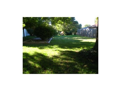 Enormous back yard with great fruit trees, garden 
