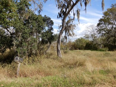 808 County Road 388c, Brazoria, TX 77422 - photo 4