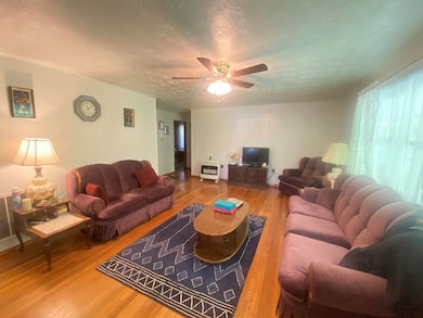 33 Tulip Dr, Chapmanville, WV 25508 - photo 3