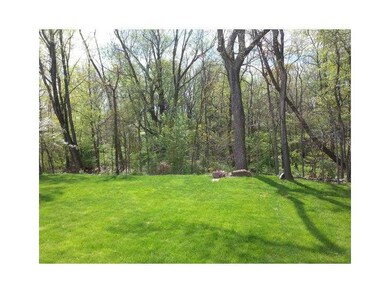 View. view from deck