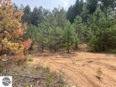 Parcel F 2 1 2 Rd, Wexford Township, MI 49620 - photo 5