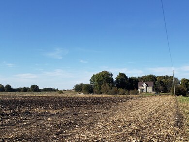 19373 1200 East St, Wyanet, IL 61379 - photo 2