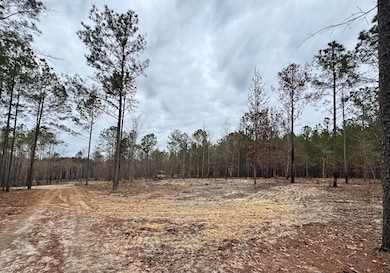 3479 Bastonville Rd, Gibson, GA 30810 - photo 2