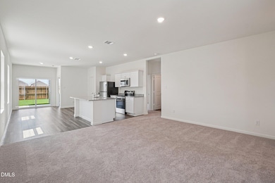 1316 Solace Way, Wake Forest, NC 27587 - photo 4