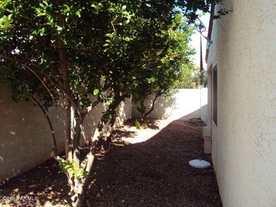 502 E Taro Ln, Phoenix, AZ 85024 - photo 6