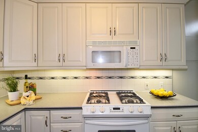 2009 Belmont Rd NW unit 204, Washington, DC 20009 - photo 6