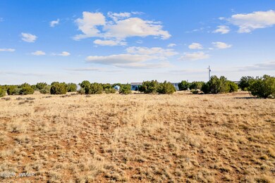 8487AlpinePl-ShowLow-AZ-2