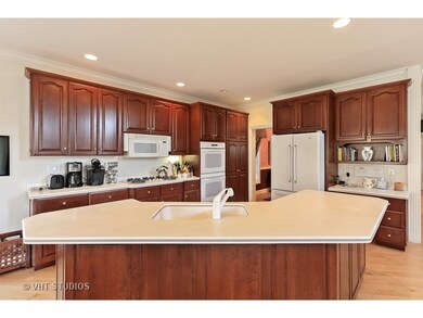 188 S Poplar Ave, Elmhurst, IL 60126 - photo 4