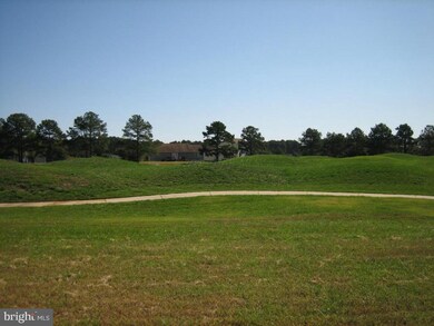 308/02 Navigator Dr, Greenbackville, VA 23356 - photo 3