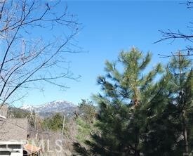 42 Park Dr, Running Springs Area, CA 92382 - photo 5