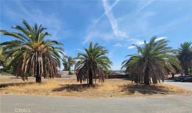 0 Shrier Dr unit IV25192545, Lake Elsinore, CA 92530 - photo 5