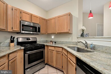13089 Autumn Woods Way unit 103, Fairfax, VA 22033 - photo 7