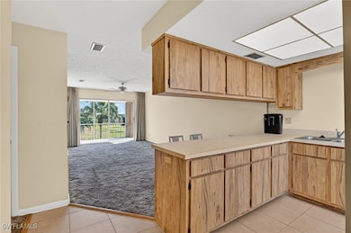 16031 Dublin Cir unit 204, Fort Myers, FL 33908 - photo 2
