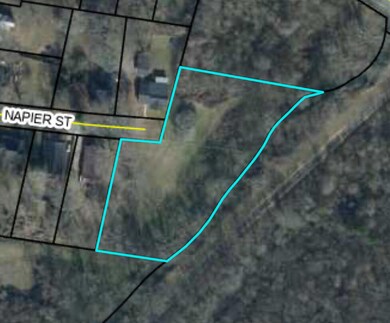 0 Napier St unit 1506017, Lafayette, GA 30728 - photo 2