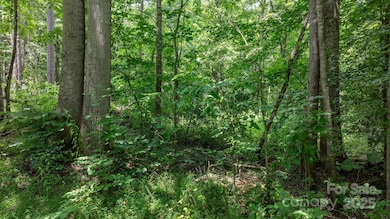 0 Rolling Rd unit CAR4287362, Lincolnton, NC 28092 - photo 5