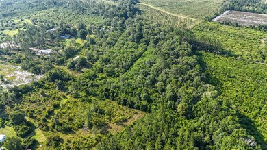 0-0 Foxwood Rd, Nahunta, GA 31553 - photo 6