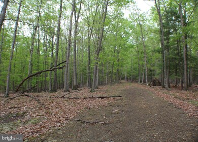 24.18 Acres Pumpkin Center Rd, Dorcas, WV 26847 - photo 6