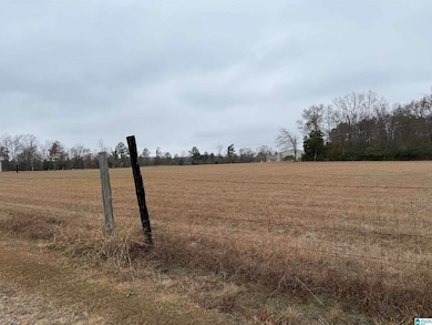 325 Washington Ave, Wellington, AL 36279 - photo 2