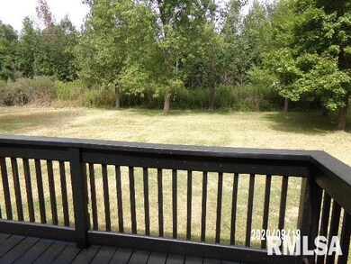 195 Jones Rd, Harrisburg, IL 62946 - photo 2