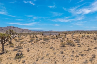 3170 Wesley Rd, Joshua Tree, CA 92252 - photo 6