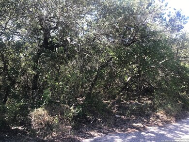 11253 Condor Pass, Helotes, TX 78023 - photo 4